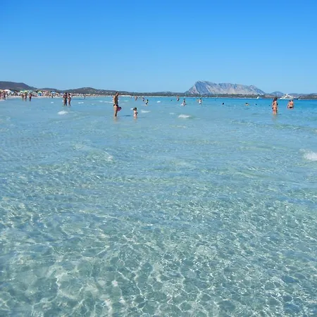 Biggy * Olbia
