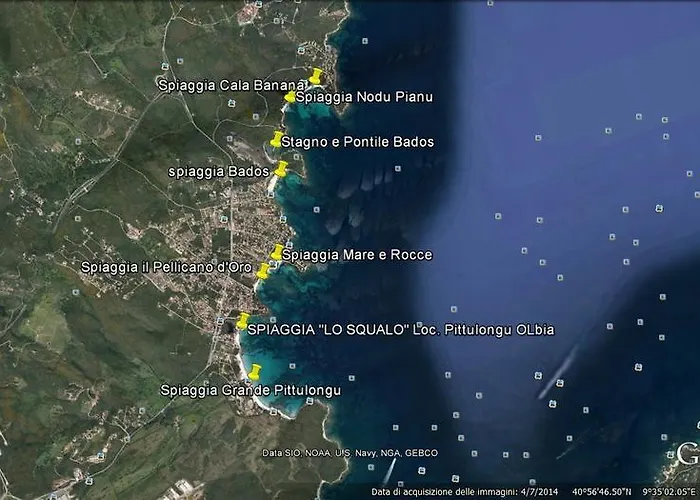 Biggy * オルビア