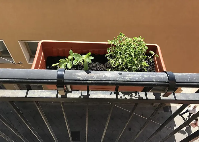 Biggy アパート *