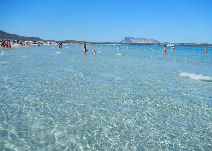 Biggy * オルビア